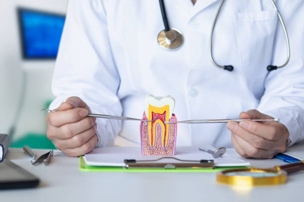 Best Tooth Infection Emergency Dentist  in Kouts, IN